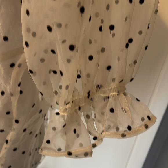 Shirt Zara sheer fabric size medium with ruffles and velvety polk a dots - Picture 3 of 6